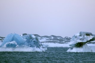 Il s'agit là du sauvetage le plus au nord jamais effectué (Photo d'illustration).